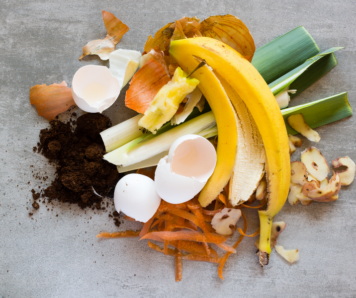 What to do with food waste