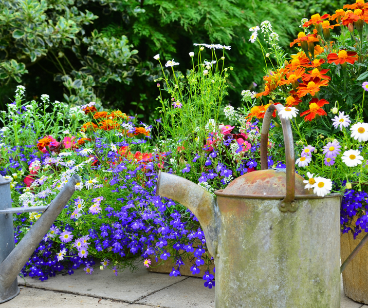 Summer In The Garden - January