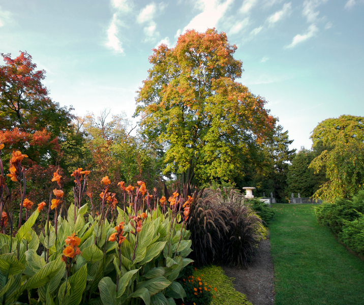 Autumn In The Garden - March