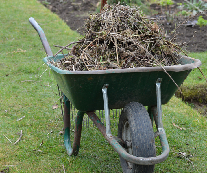 WINTER IN THE GARDEN - JULY