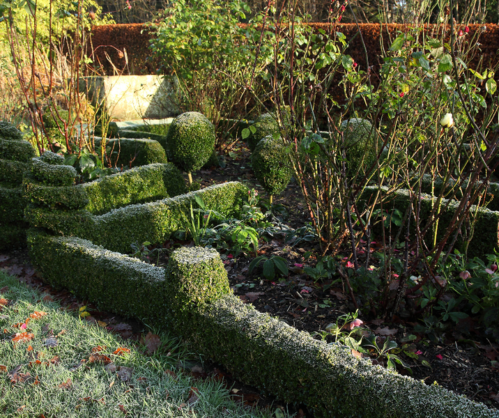 WINTER IN THE GARDEN - JUNE