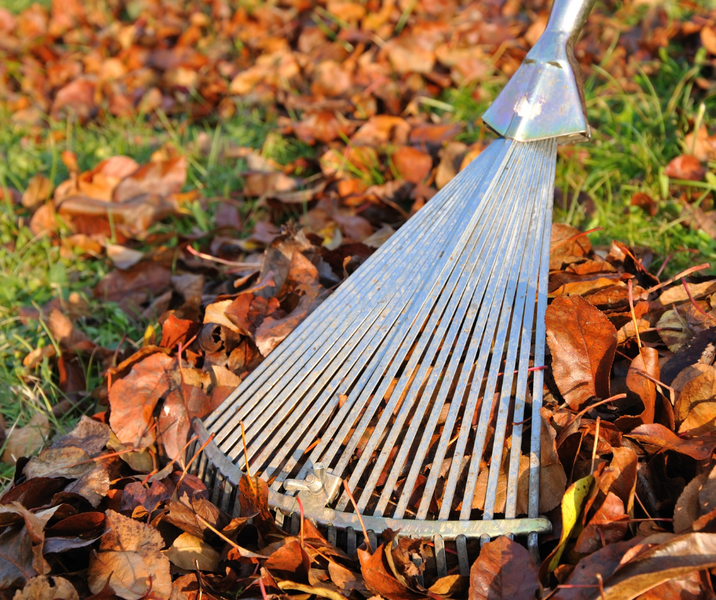Autumn In The Garden - April