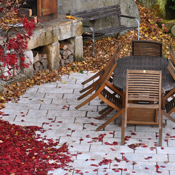 Autumn In The Garden - May